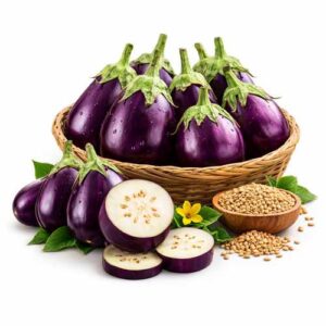 বারি বেগুন-১ বীজ