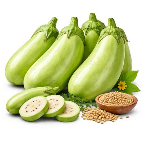 হাইব্রিড বেগুন বীজ F1