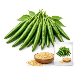 হাইব্রিড মরিচ বীজ F1